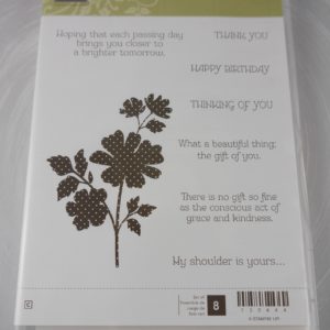 Stampin Up Gift of Kindness