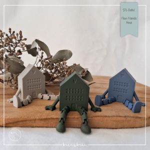STL Datei Flexi Friends Haus