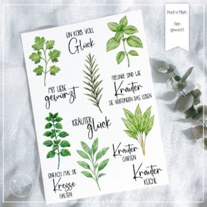 Print n Plott Fein gewürzt
