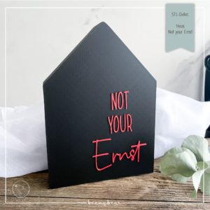 STL Datei Haus Sassy Not your ernst
